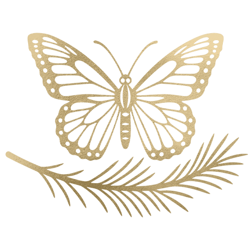 Minimalist butterfly and leaf illustration in neutral tones.